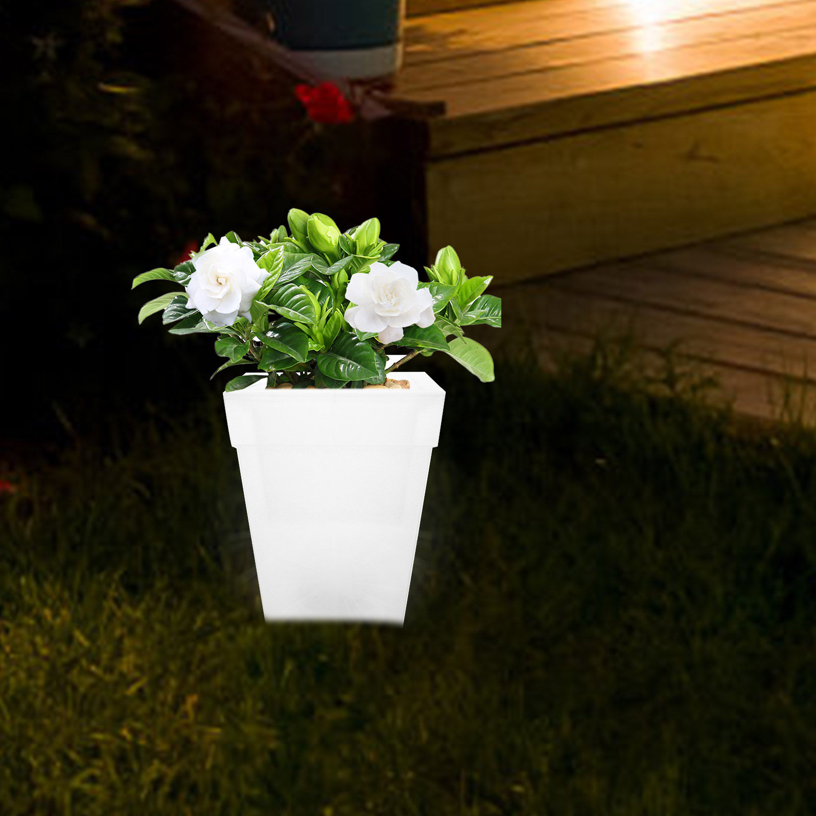 Quadratischer Blumentopf aus K – Outdoor Power And Plant Bewertung und Preis